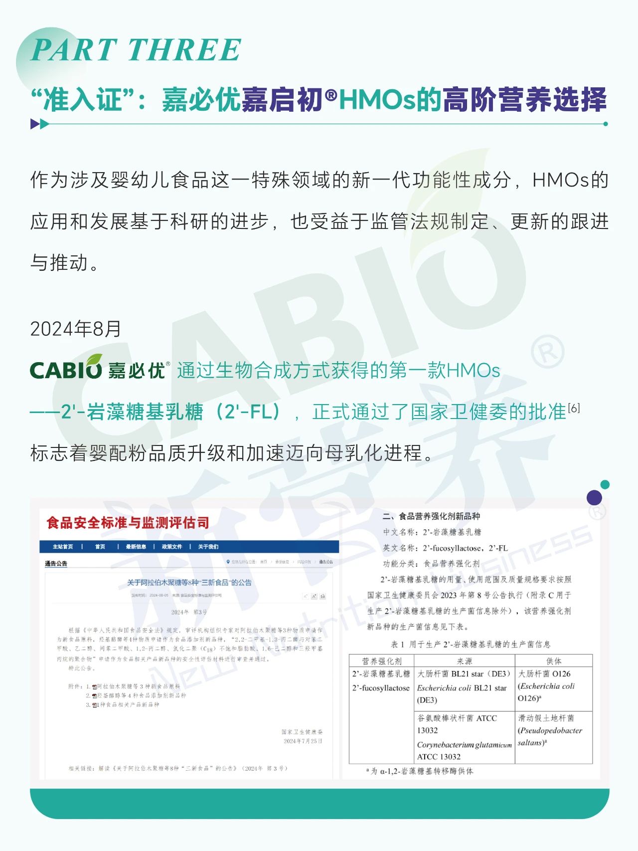 香港马经精准十二码