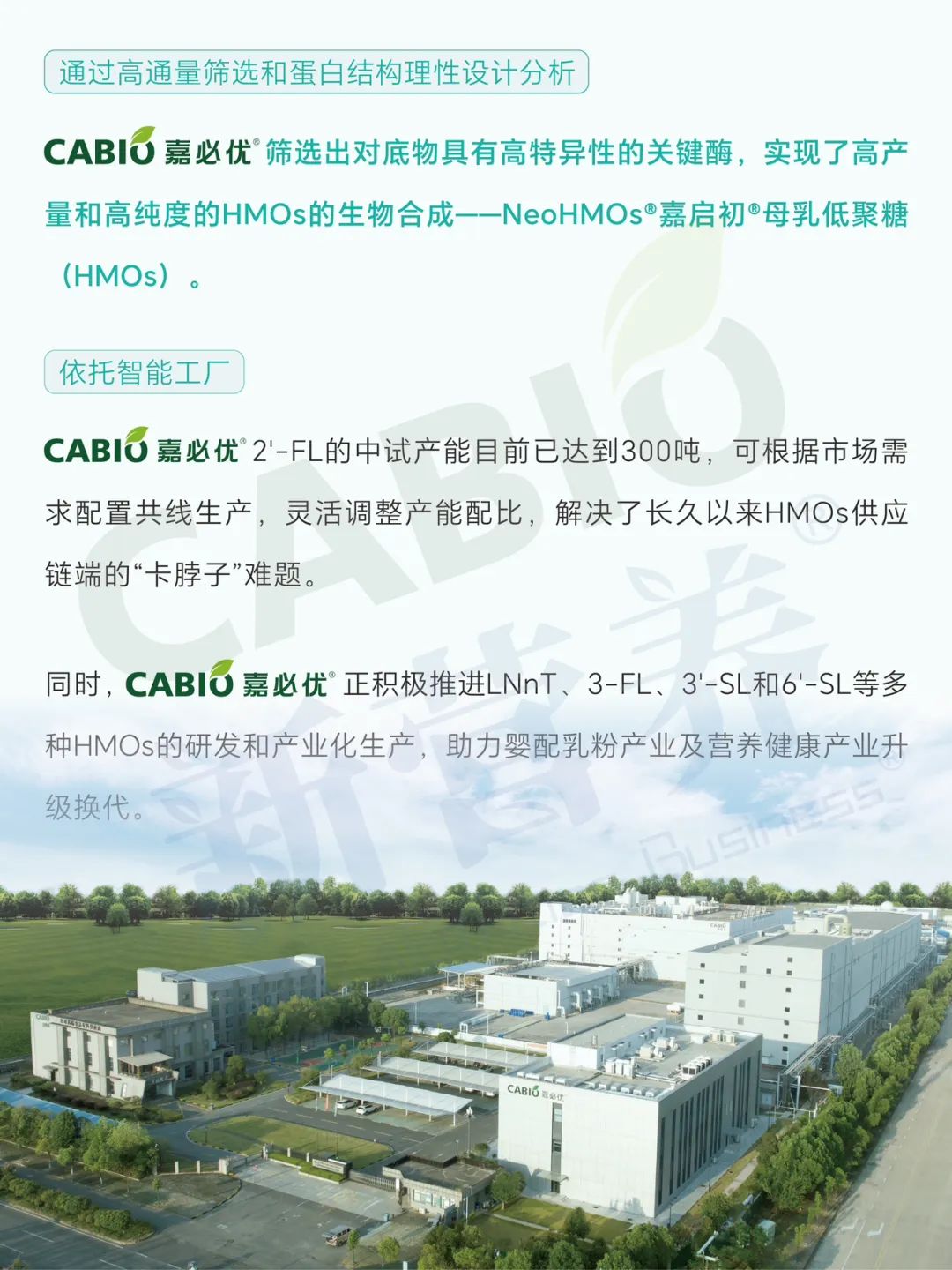 香港马经精准十二码