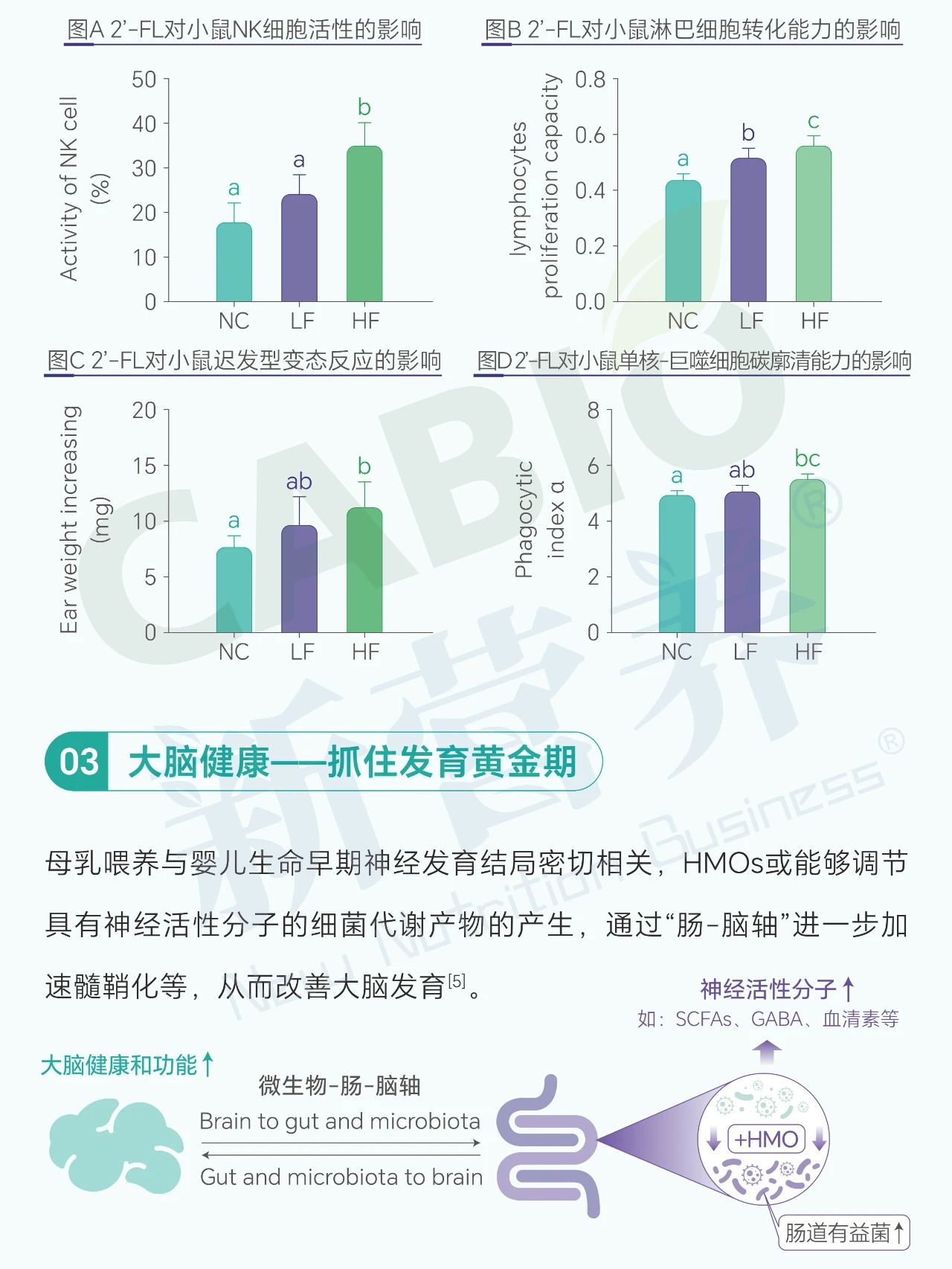 香港马经精准十二码