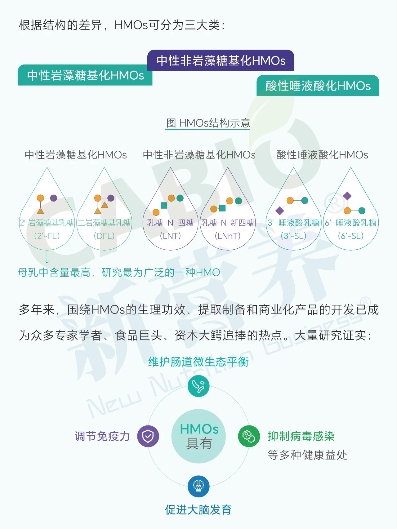 香港马经精准十二码